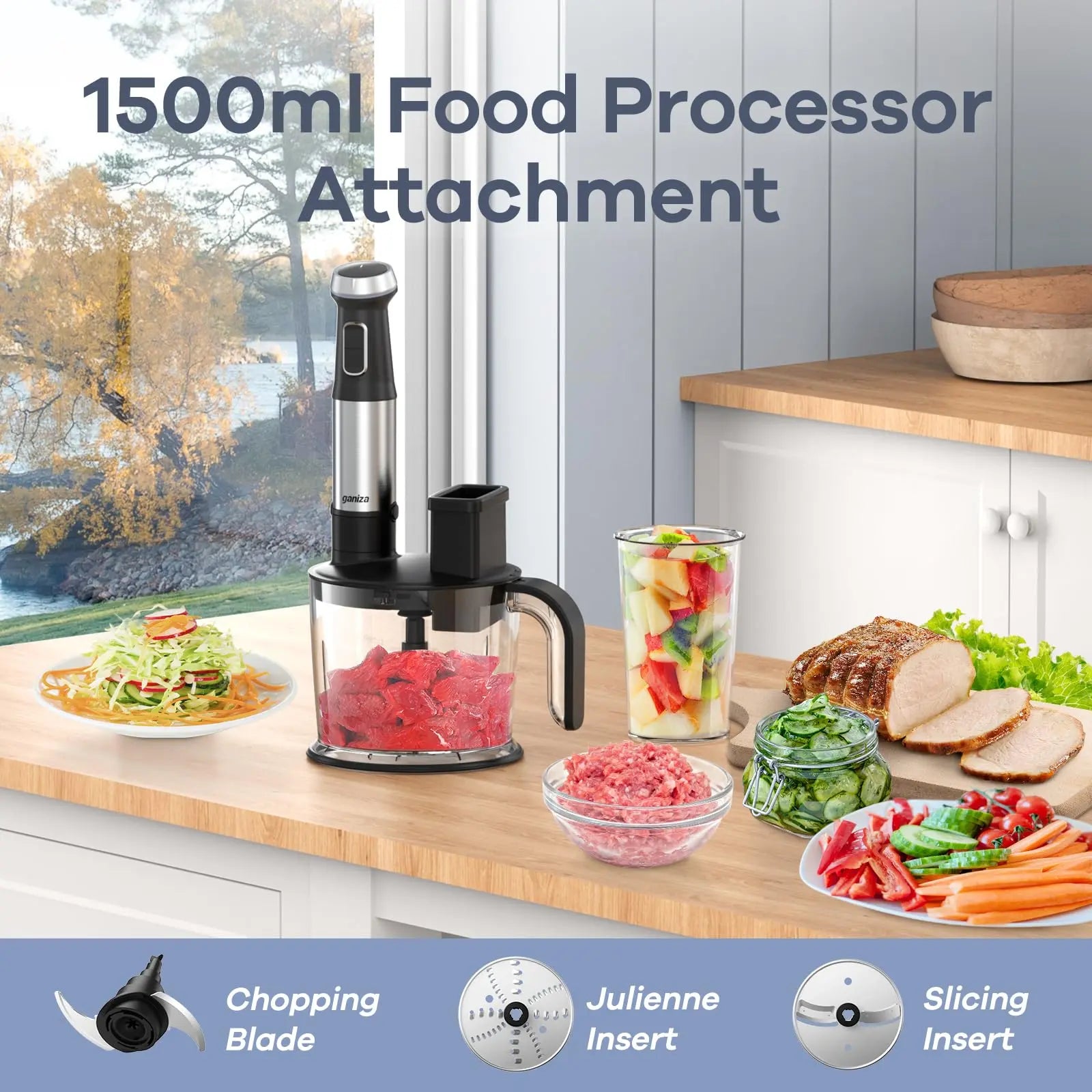 Ganiza 16-Speed Immersion Blender Set - 800W Stainless Steel Hand Blender with Whisk, Frother, Masher, and Recipe Guide - Perfect Kitchen Gift for Home Cooks